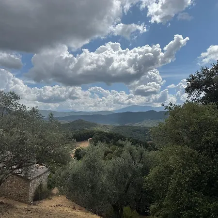 Lumiere & Nature Coeur D